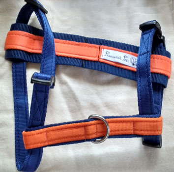 Two-tone harness set